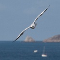 2009-09-dinard-OK (83)